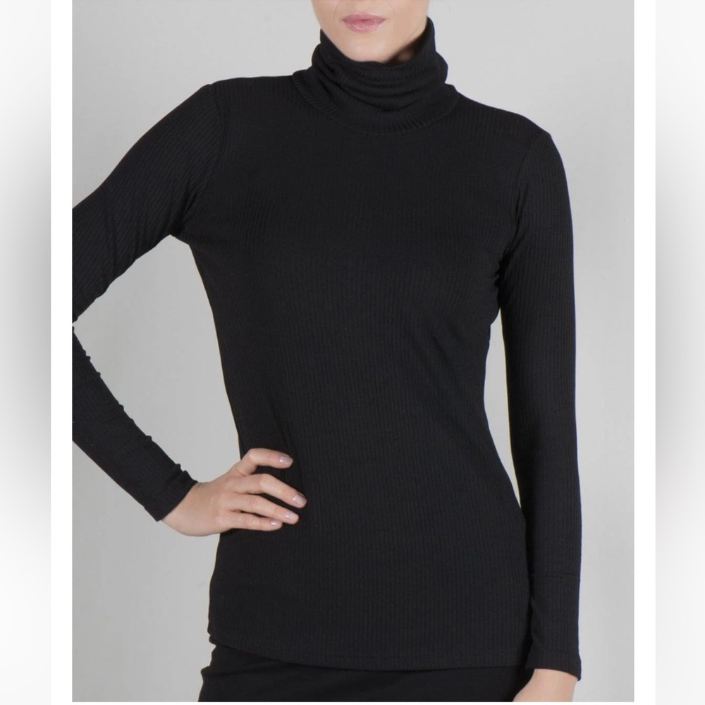 Point Ribbed Turtleneck